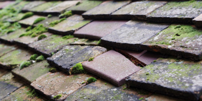 Walkden roof repair costs